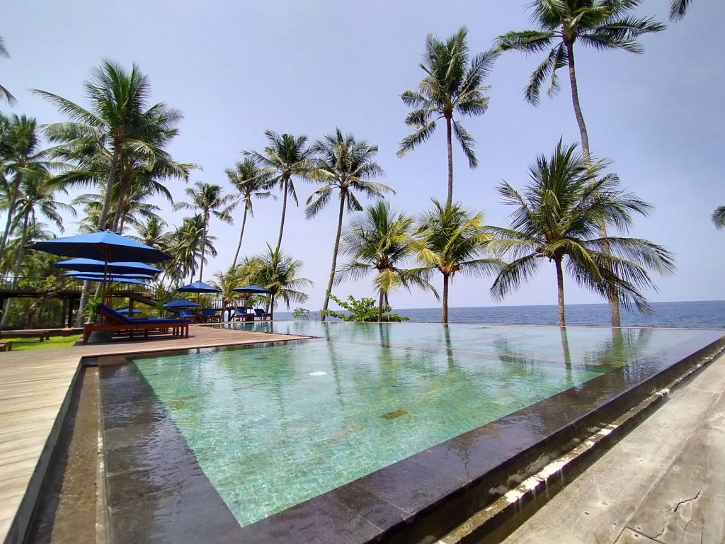 a beachfront swimming pool surrounded by palm trees.